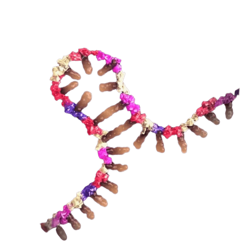 Screenshot from 2024 05 26 15 50 33 removebg preview 5d7cac021b